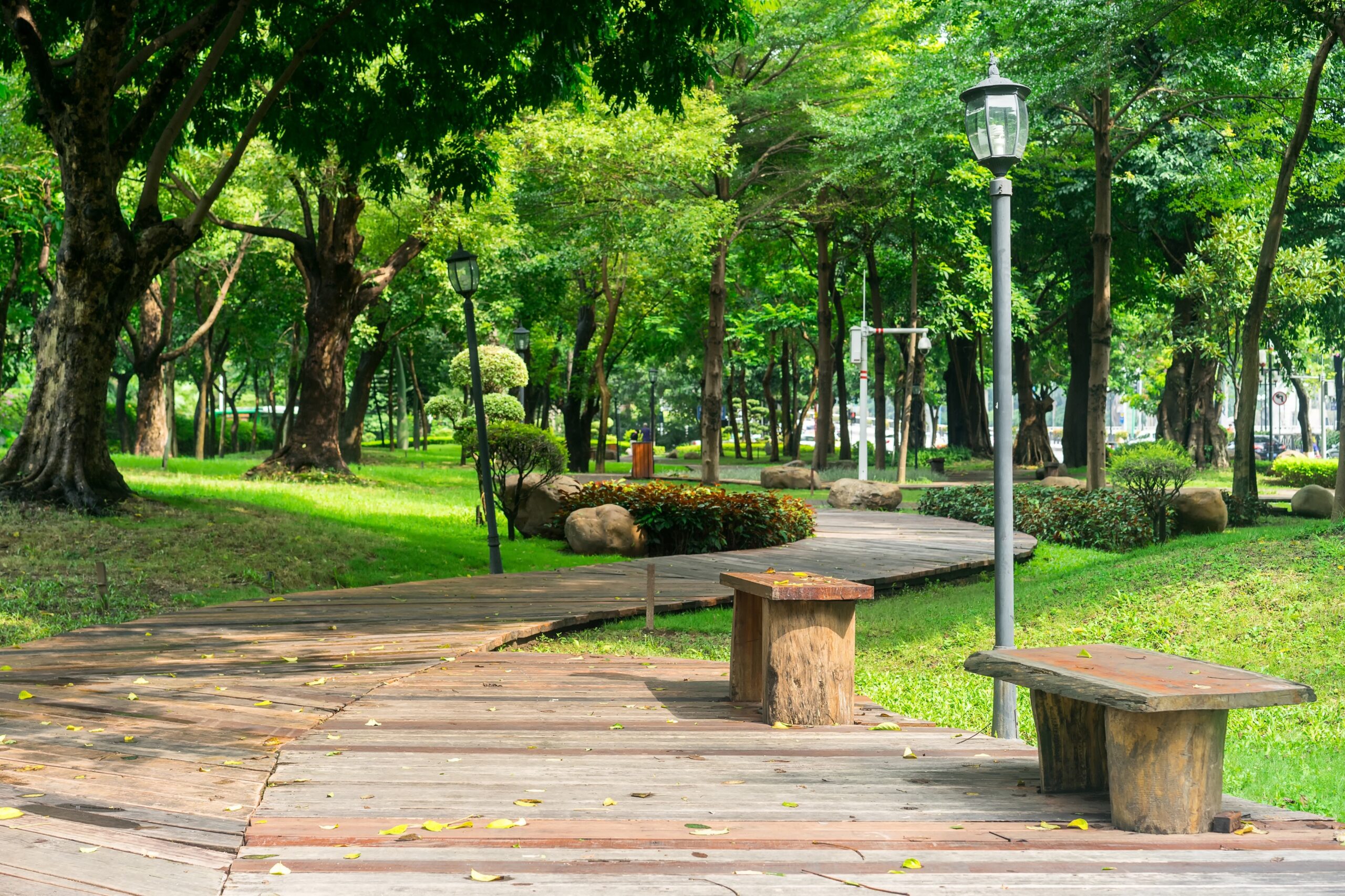 PUBLIC PARKS